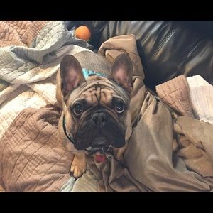 Meet your Posher, Ryan